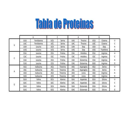 Tabla de proteinas | PDF