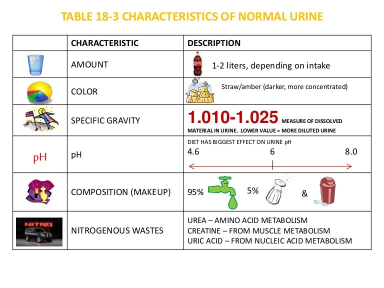 Table 18 3 Normal Urine
