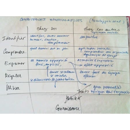Compétences émotionnelles
