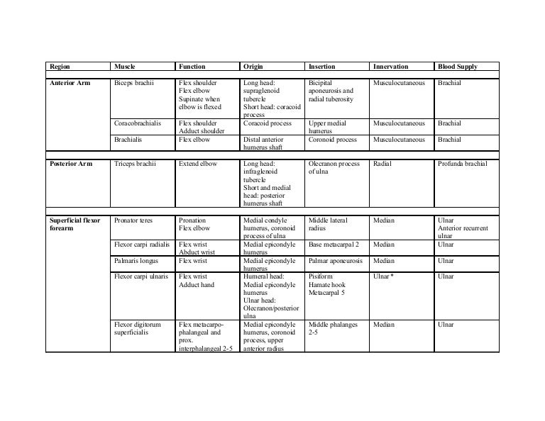 Table of upper limb muscles
