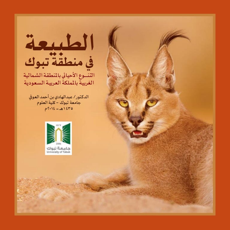الطبيعة في منطقة تبوك