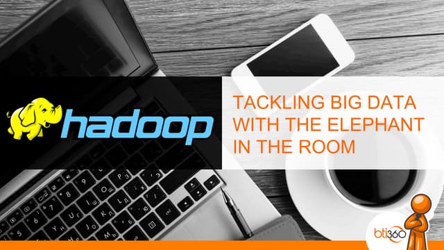 Tackling Big Data with the Elephant in the Room