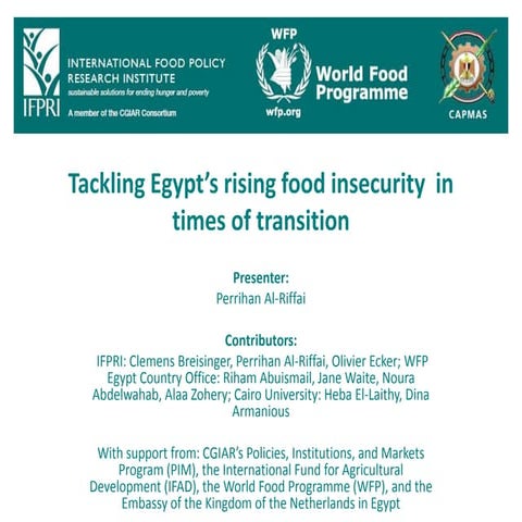 Tackling Egypt’s Rising Food Insecurity in Times of Transition