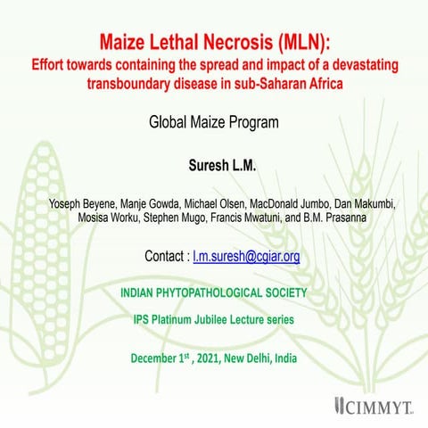 Tackling maize lethal necrosis (mln), a complex disease in eastern africa  dr...