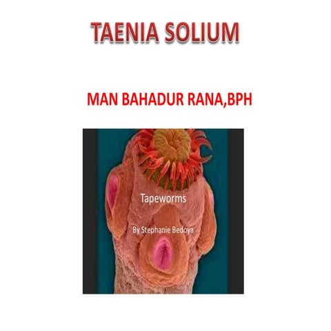 Taenitaenia solium