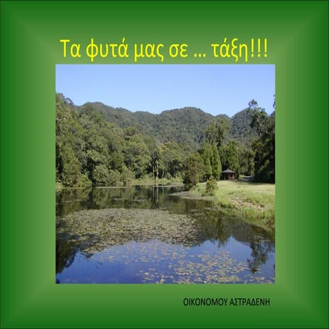 Τα φυτά μας...σε τάξη!