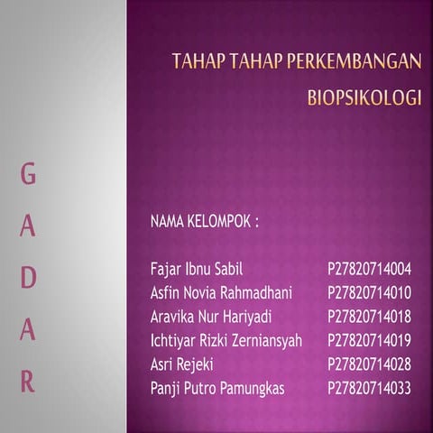 Tahap tahap perkembangan biopsikologi