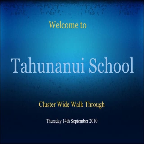 Tahunanui cluster walk_through (1)