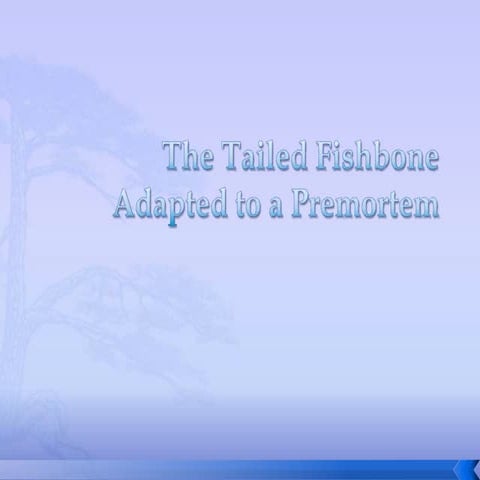 Tailed Fishbone for Premortem