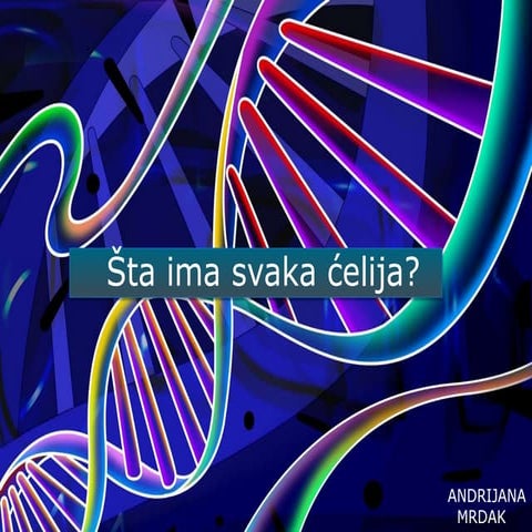 Razlike između biljne i životinjske ćelije | PPT