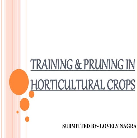 Taining and pruning in horticultural crops