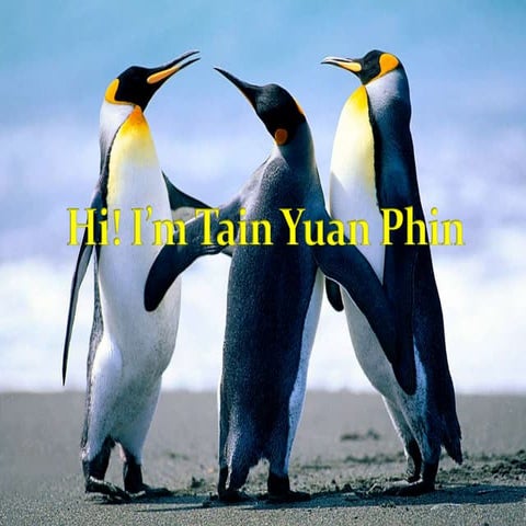 Tain Yuan Phin (Myself)