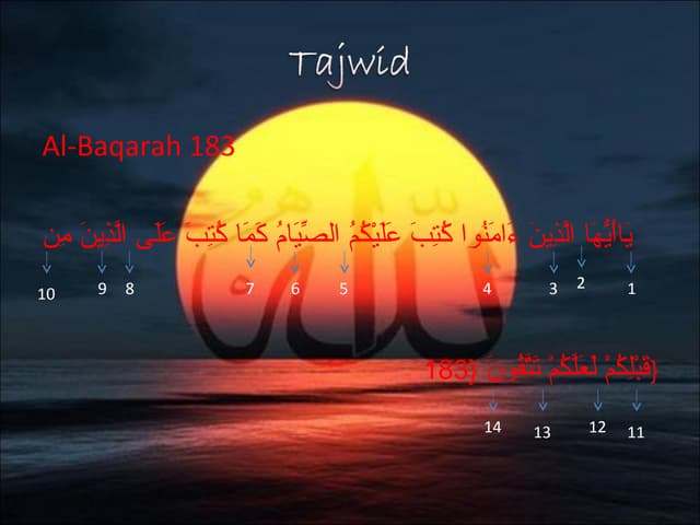 mengenal tajwid