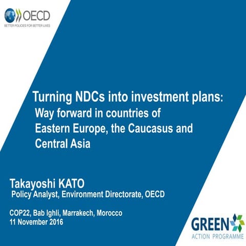 OECD Presentation: Turning NDCs into investment plans: Way forward in countri...