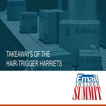 Takeaways of the Hair-Trigger Harriets