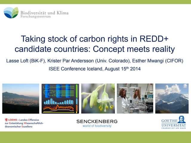 Taking stock of carbon rights in REDD+ candidate countries: Concept meets reality