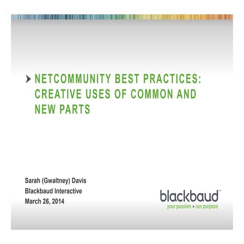 Taking NetCommunity to the Next Level | PDF