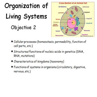 Taks review   obj 2 with answers