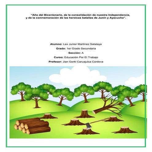 La Tala de árboles en la Región San martín | PDF