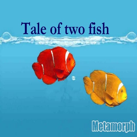 A Tale of Two Cities | PPT
