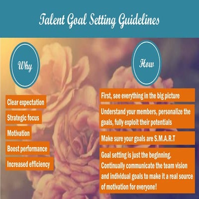 Talent goal setting guidelines