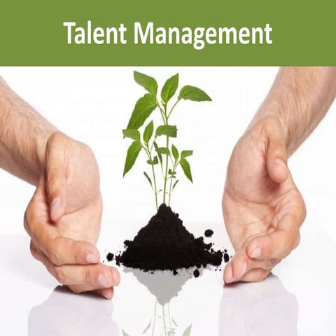Talent management