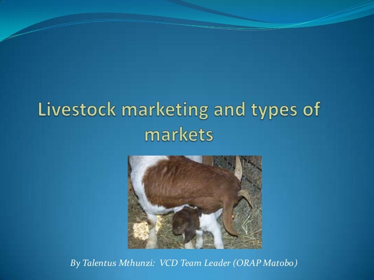 Livestock Marketing and Types of Markets