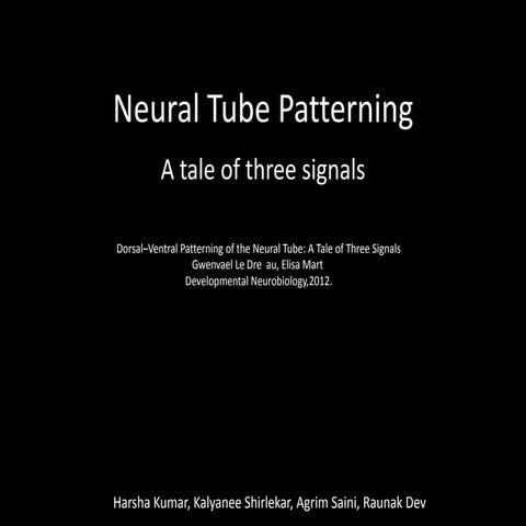 Dorso-Ventral Patterning of the brain - Neural tube patterning | PPTX