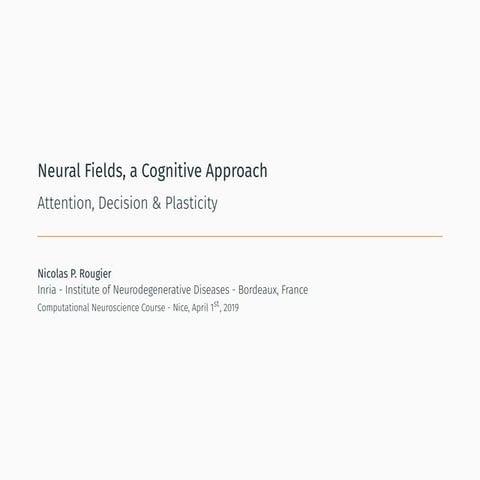 Neural fields, a cognitive approach