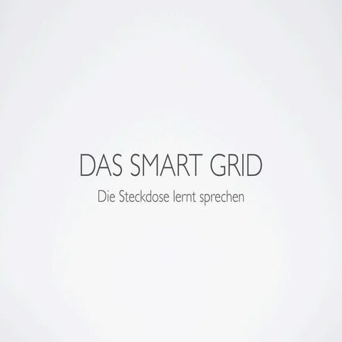 Das Smart-Grid