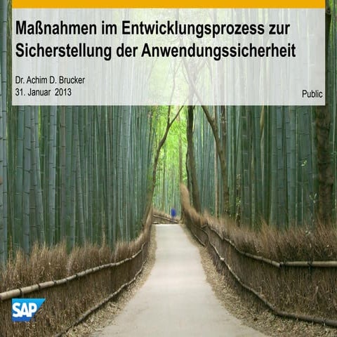 Integrating Application Security into a Software Development Process