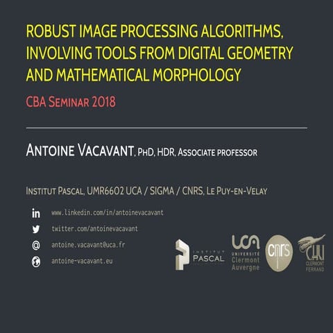 Robust image processing algorithms, involving tools from digital ...