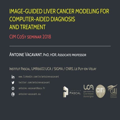 Image-guided liver cancer modeling for computer-aided diagnosis and treatment