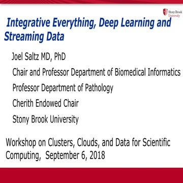 Integrative Everything, Deep Learning and Streaming Data