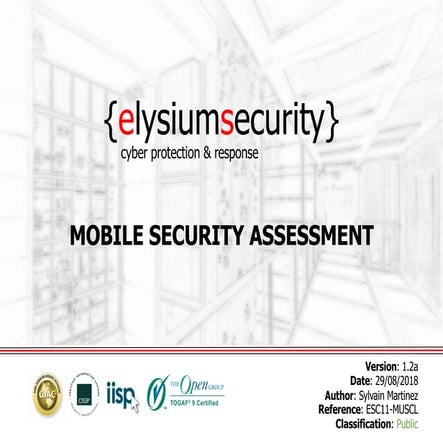 Mobile Security Assessment