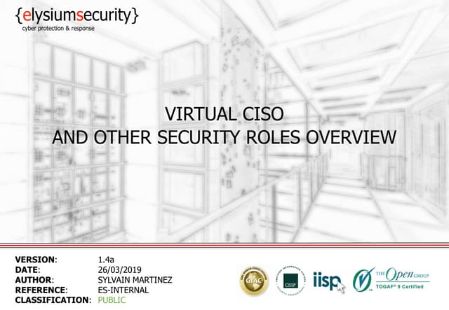 VIRTUAL CISO AND OTHER KEY CYBER ROLES