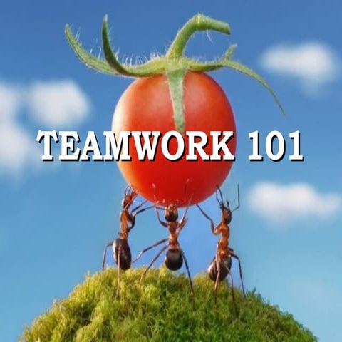 Teamwork 101