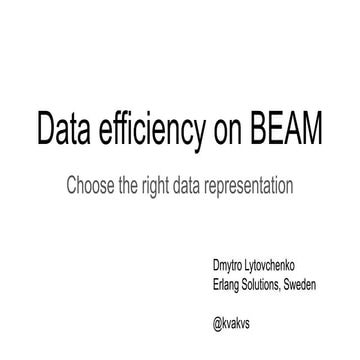 Data efficiency on BEAM - Choose the right data representation by Dmytro Lyto...