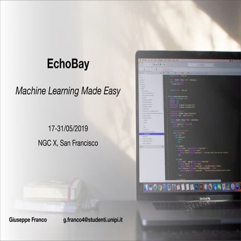 EchoBay: Automatic Optimization for Echo State Networks - talk version