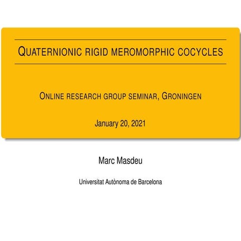 Quaternionic rigid meromorphic cocycles
