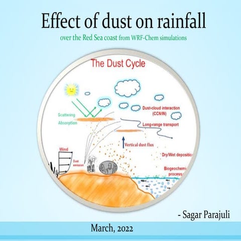 Dust-rainfall connections