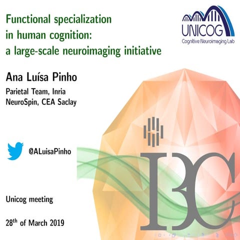 Functional specialization in human cognition: a large-scale neuroimaging init...