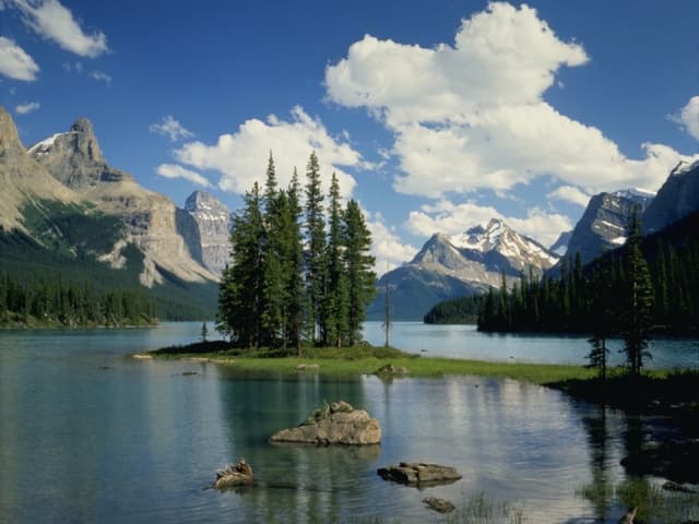 Taller De Discernimiento