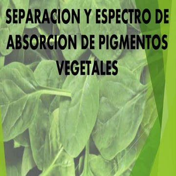 clorofilas, carotenos, xantofilas, separación de pigmentos
