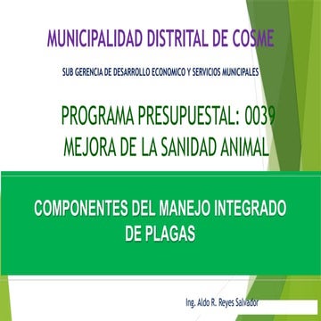 taller-SENASA-PI-meta36 SOSTENIBILIDAD.pptx