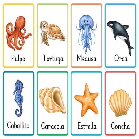 Exploring Marine Life: Diverse Sea Creatures and Their Characteristics ...