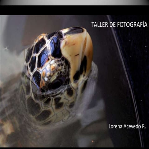 Taller Fotografía