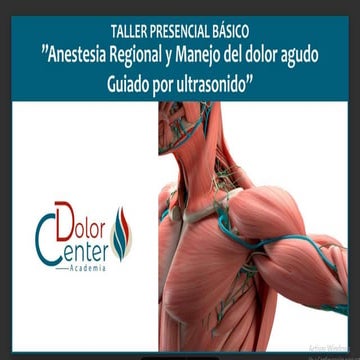 TALLER 4 ecoguiado en miembros inferiores