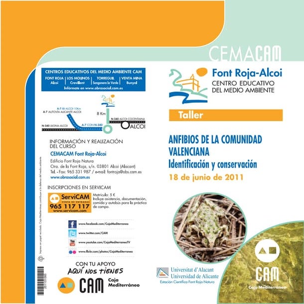 Taller anfibios  18 junio