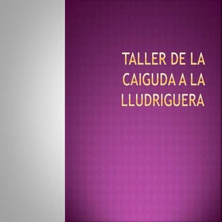Taller caiguda a la lludriguera
